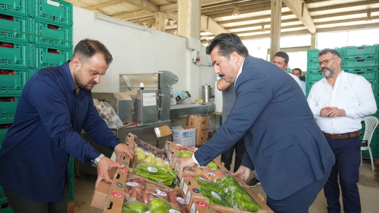 Bursa Yenişehir'in tarım ürünleri Libya yolunda... İlk numuneler gönderildi