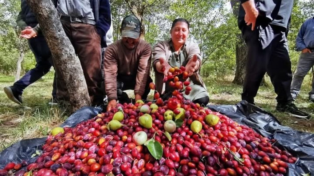 3.Çıldır Cancur Festivali Yapıldı