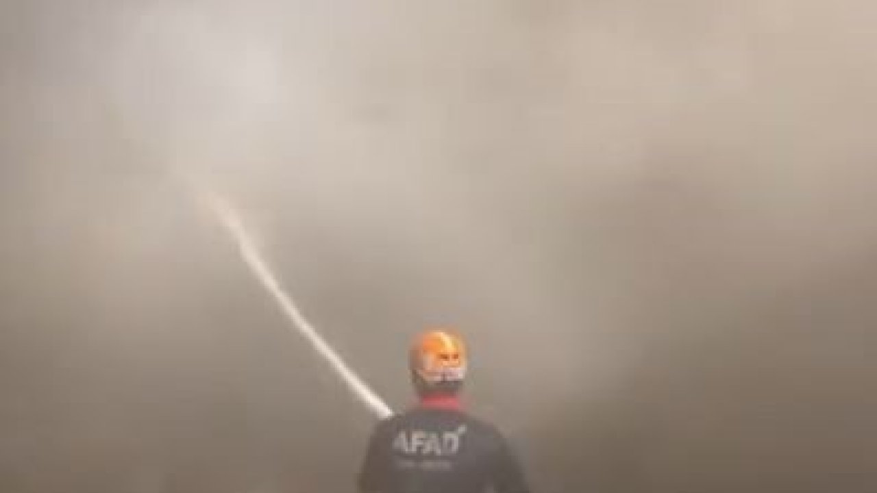 Ahır yangınında 15 küçük ve 8 büyükbaş hayvan telef oldu