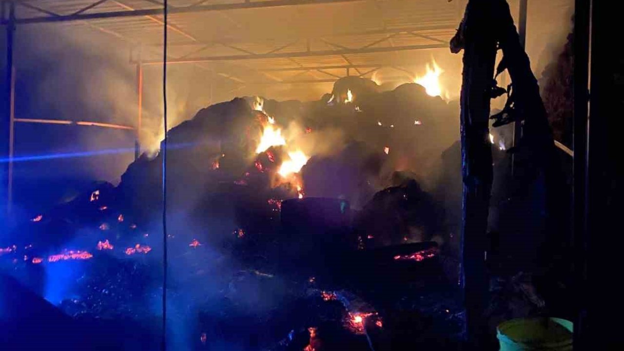 Ahırda yangınında 1 buzağı telef oldu