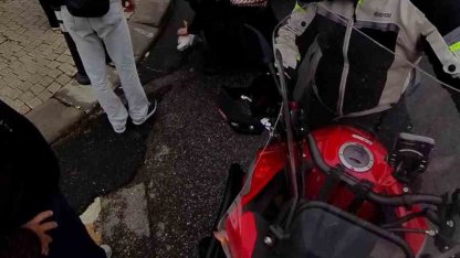 Ataşehir’de direğe çarpan martı kalp masajıyla hayata döndü