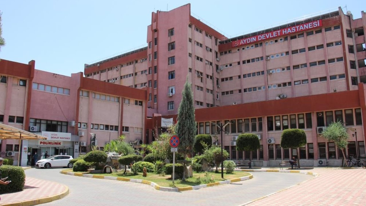 Aydın’da uyuz salgını