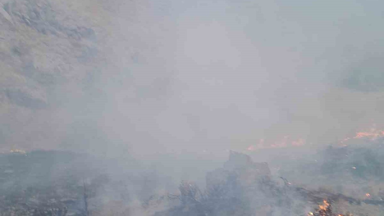 Başkale’de anız yangını