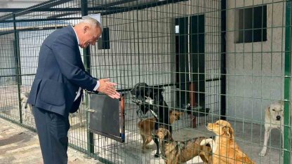 Başkan Yıldırımkaya: "Sultanhisar’da can dostlar emin ellerde"