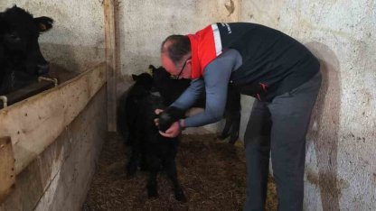 Bayburt’ta etçi ırk damızlık hayvan kontrolleri yapıldı
