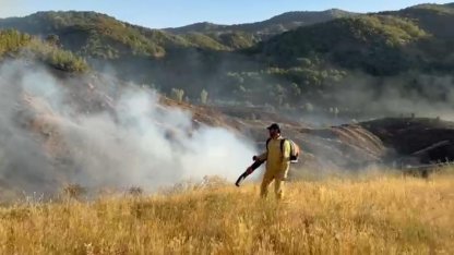 Bingöl’deki orman yangını kontrol altına alındı