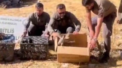 Bitlis’te Keklik ticaretine geçit verilmedi