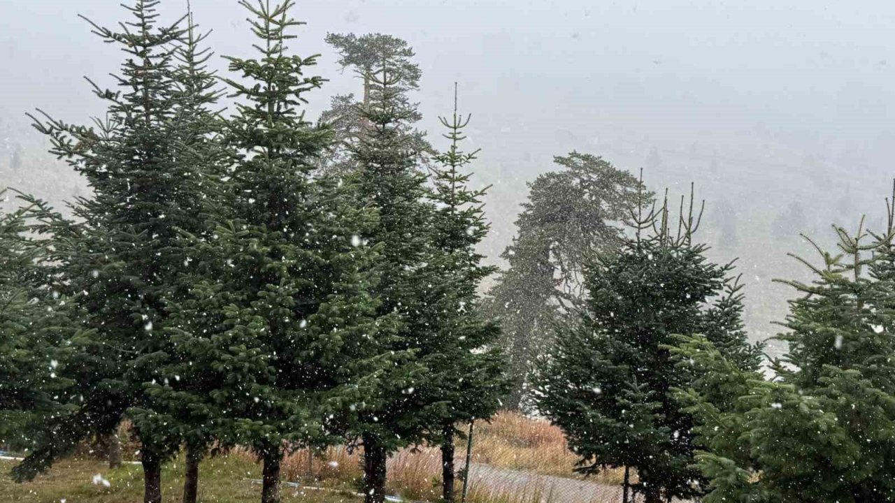 Bolu’da mevsimin ilk karı yağdı
