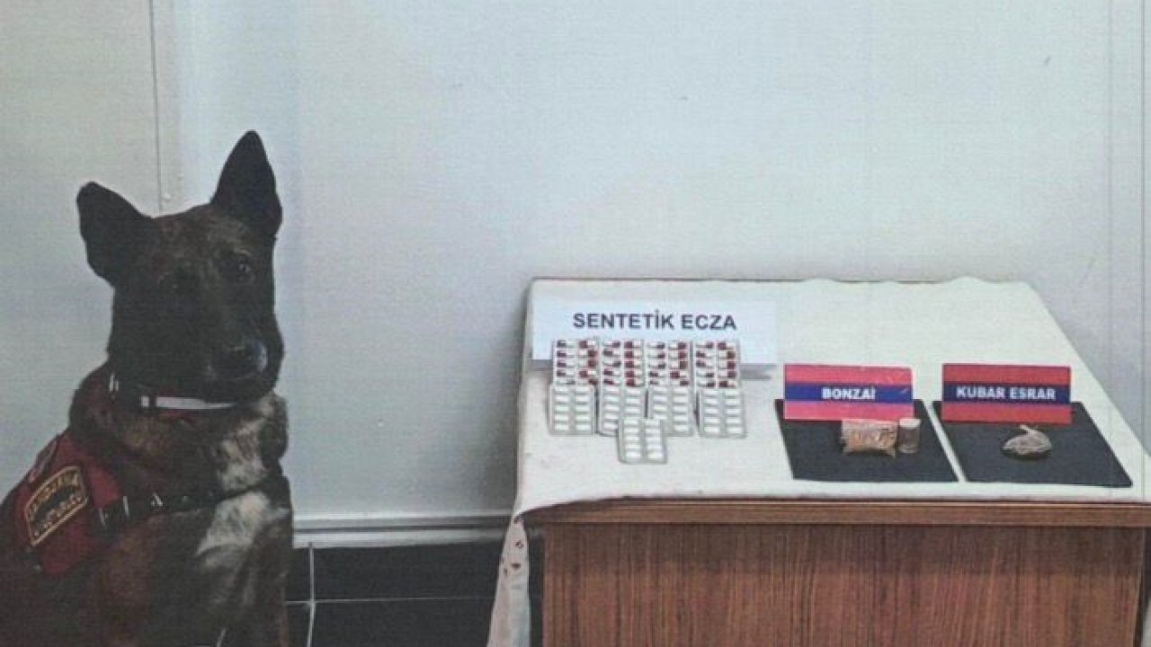 Bolu’da şüpheli araçta uyuşturucu maddeler ele geçirildi: 1 gözaltı