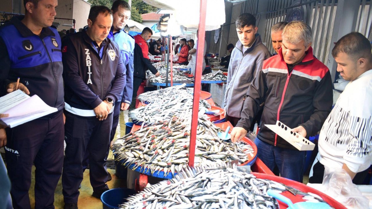 Bursa Yenişehir'de balık pazarına sıkı denetim