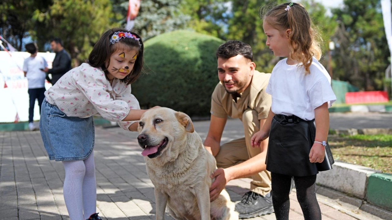 Bursa'da can dostlar Osmangazi korumasında