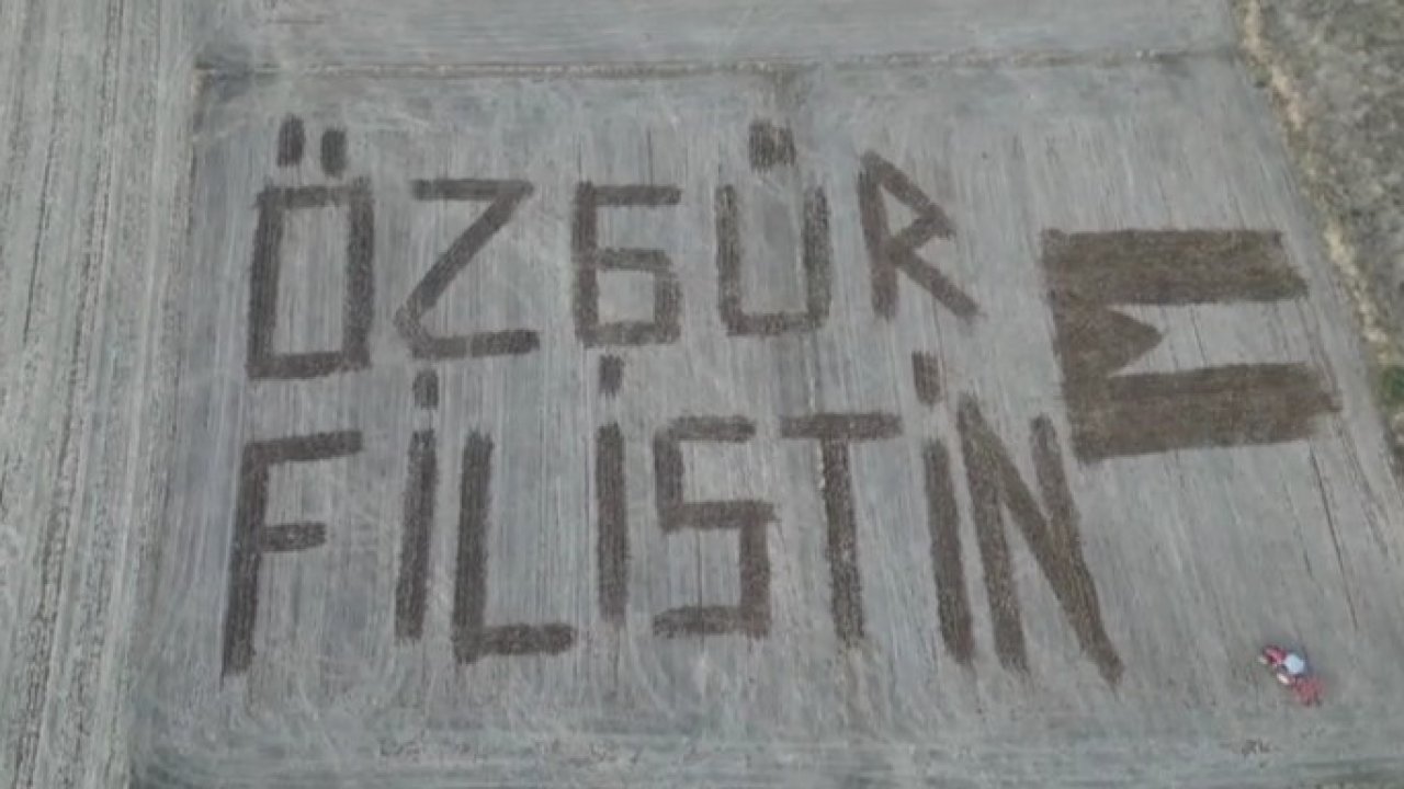 Çanakkaleli çiftçi Filistin’e destek için tarlasına ’Özgür Filistin’ yazdı