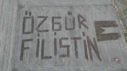 Çanakkaleli çiftçi Filistin’e destek için tarlasına ’Özgür Filistin’ yazdı