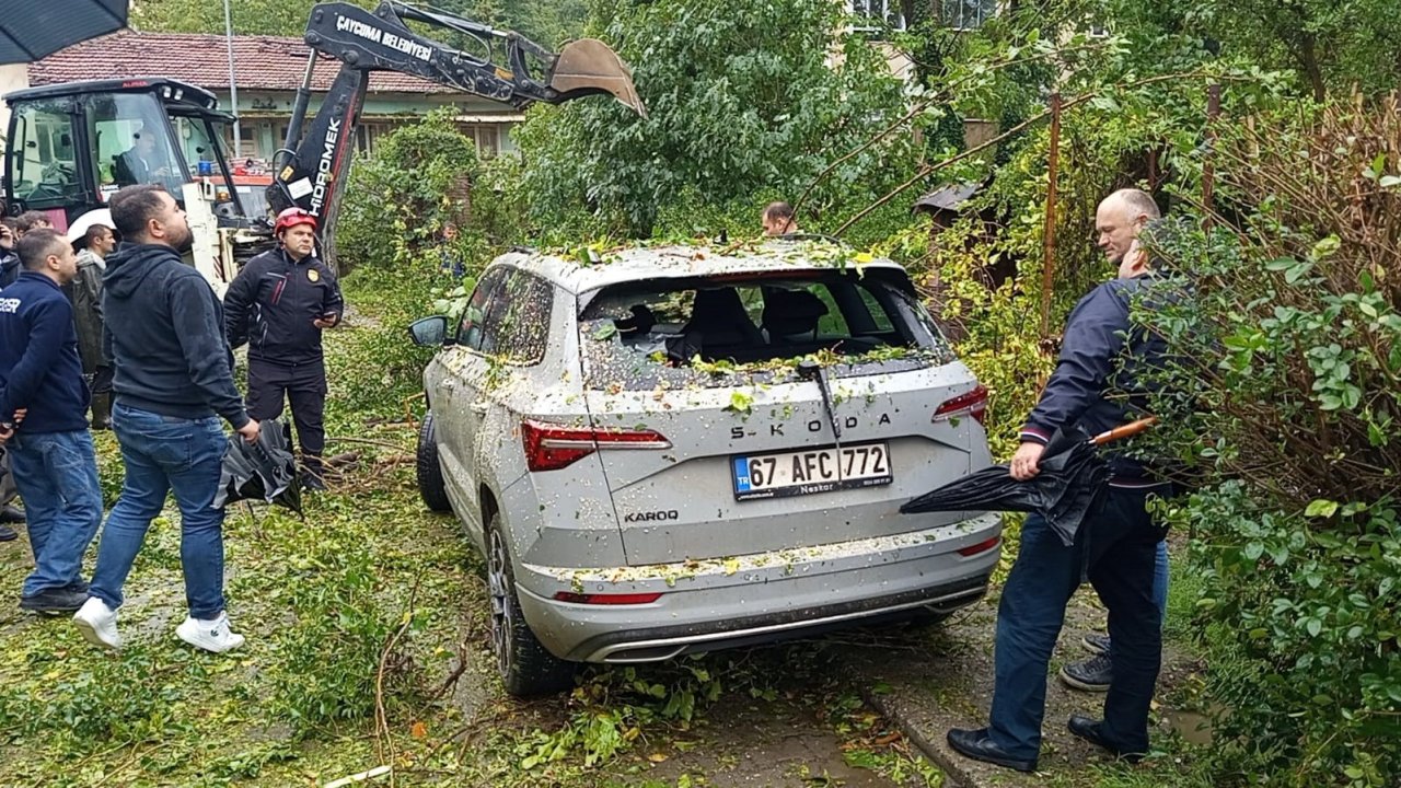 Çaycuma’da park halindeki otomobilin üzerine ağaç devrildi