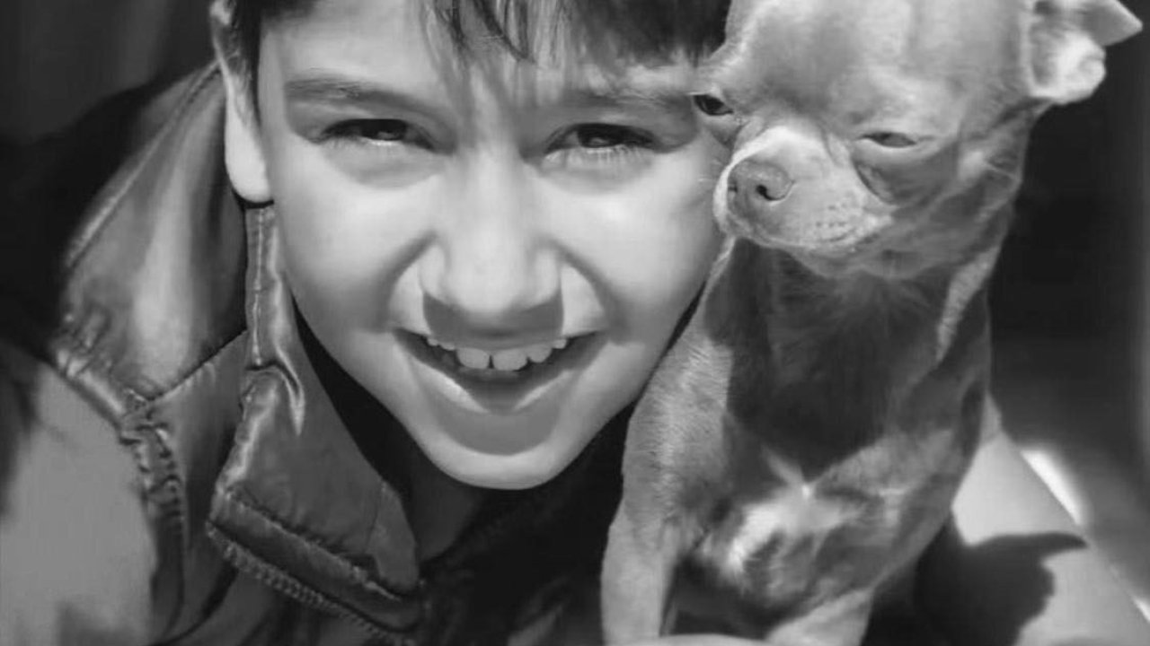 CHP’li Başkan Yardımcısı’nın araçla çarptığı çocuk hayatını kaybetti