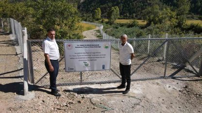 Domuzların talan ettiği çeltik tarlaları, devlet desteğiyle yeniden verimli hale getirildi