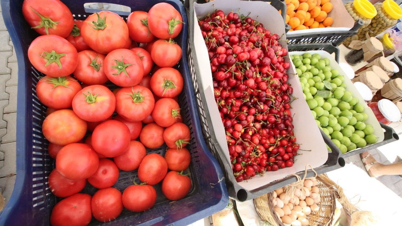 Efes Tarlası Yaşam Köyü’nde Üretici Pazarı 19 Ekim'de kapılarını açıyor