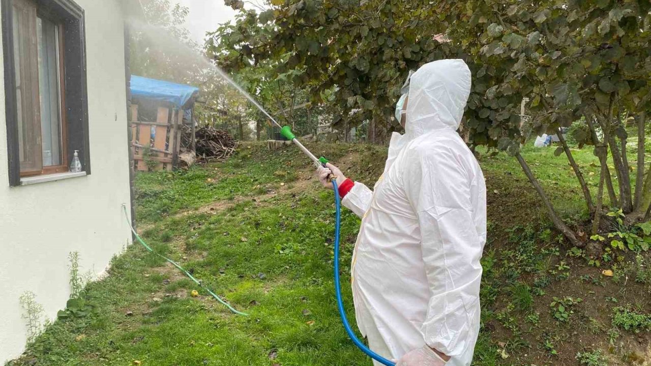 Erenler’de kokarcaya yönelik etkili mücadele sürüyor