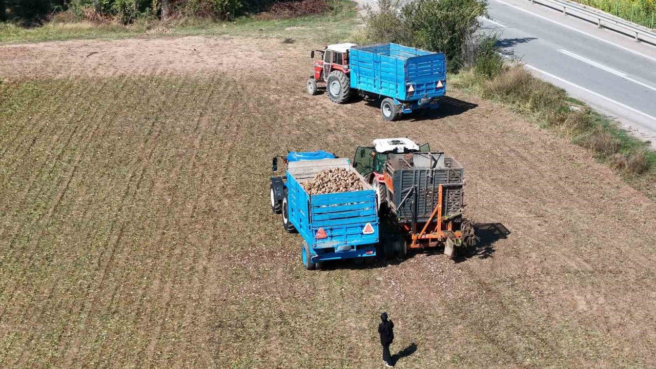 Erzincan’ın bereketli topraklarında pancar hasadı başladı