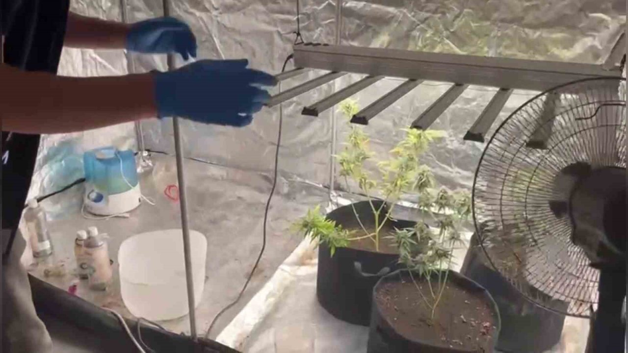 Evine kurduğu özel sistemle uyuşturucu üretirken yakalandı