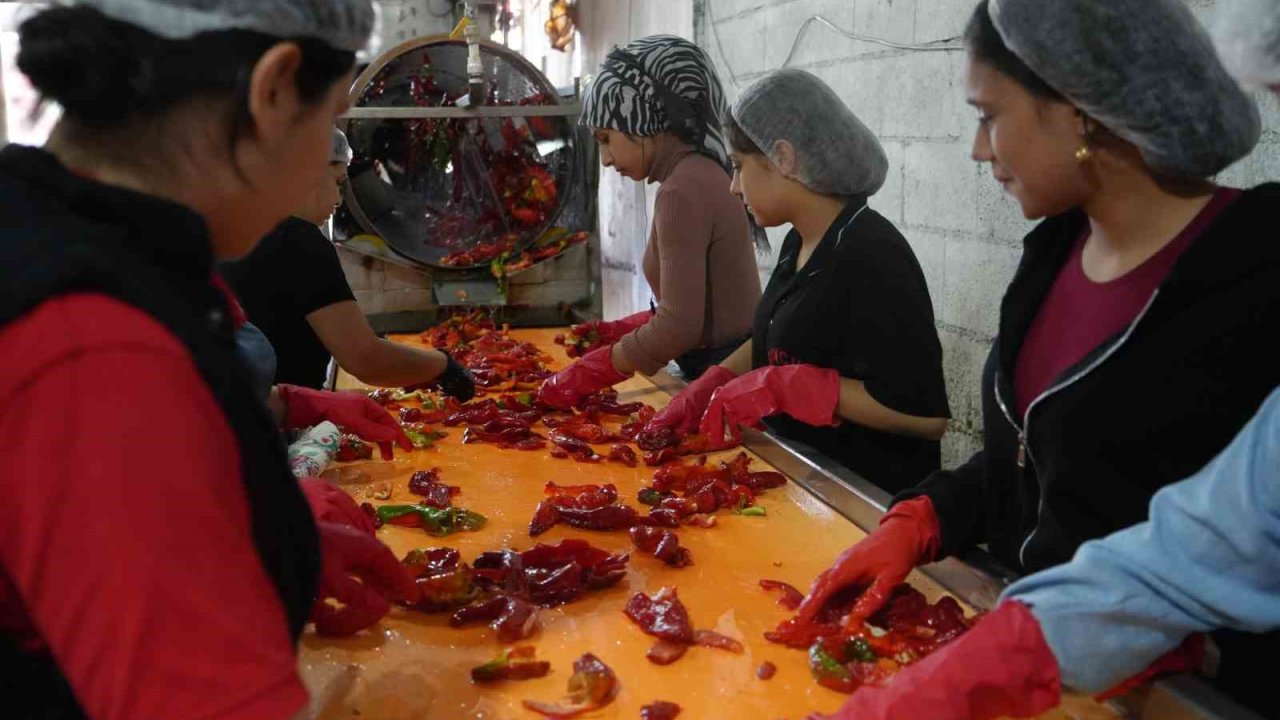 Gaziantep’te kadınların ’acı’ mesaisi