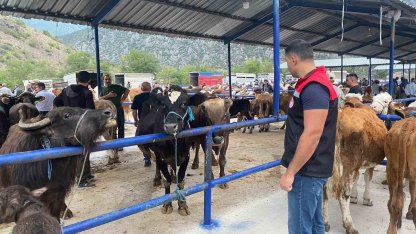 Hayvan pazarı şap hastalığı nedeniyle kapatıldı