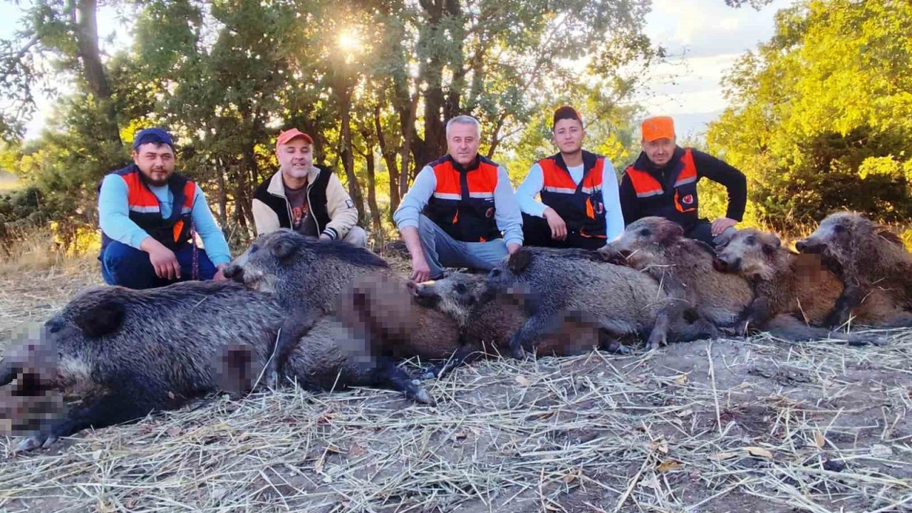 Hisarcıklı avcılar 6 saatte 7 yaban domuzu vurdu