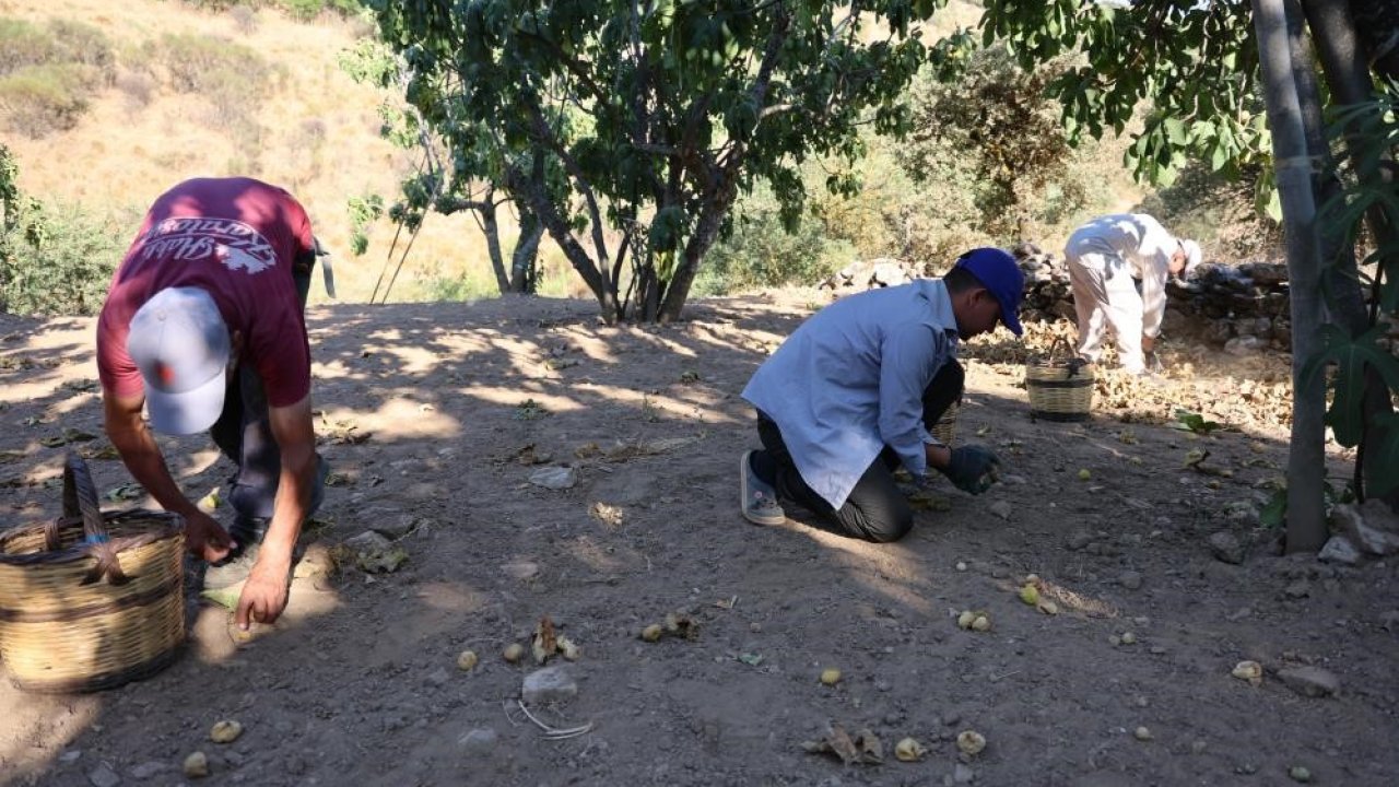 İncir üreticisi Aydın Ziraat Odası Başkanı Kendirlioğlu’na ateş püskürdü