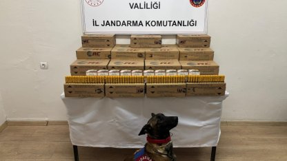 Jandarma 10 bin adet kaçak av tüfeği mermisi ele geçirdi