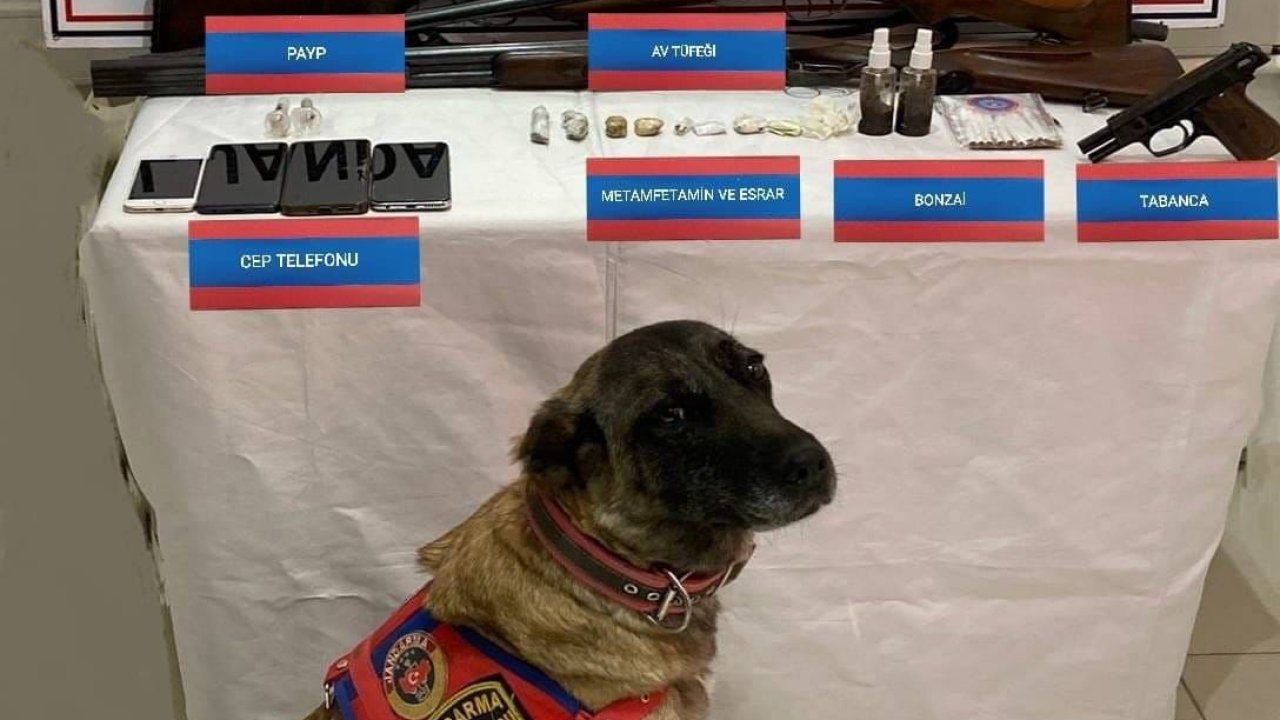 Jandarma ekipleri uyuşturucuya geçit vermedi