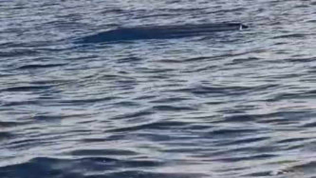 Karadeniz kıyılarında bir insansız deniz aracı şüphesi daha