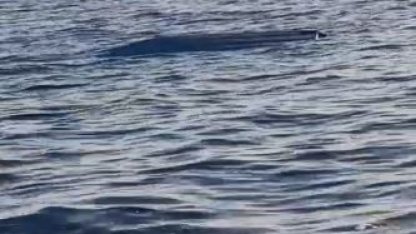 Karadeniz kıyılarında bir insansız deniz aracı şüphesi daha