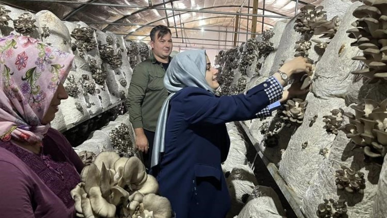 Kaymakam Kılıç: "Yerel üretimi her zaman destekliyoruz"