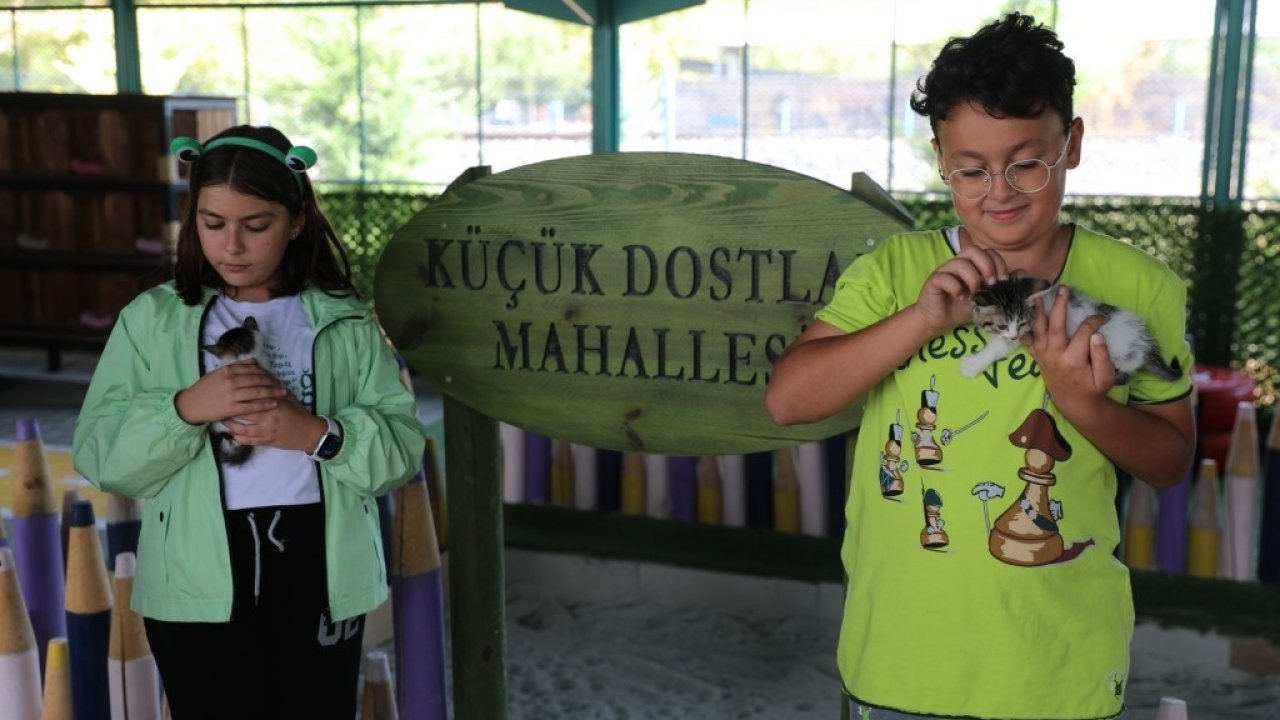 Kocasinan’da ’küçük dostlar’ için Türkiye’ye örnek projeler