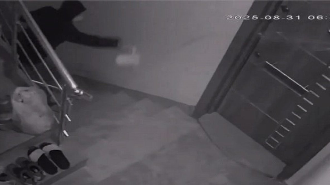 Komşularını canından bezdirdi