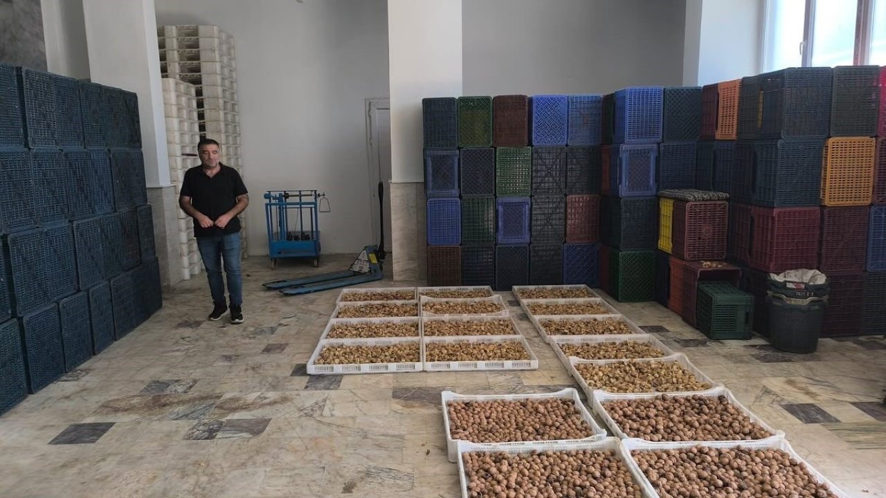 Köşk’te kuru incir depolarına sıkı denetim