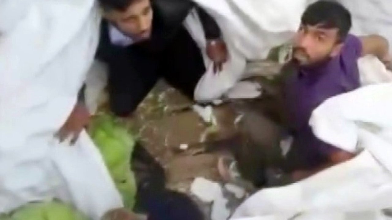 Lahana yüklü tırdan kaçak göçmenler çıktı