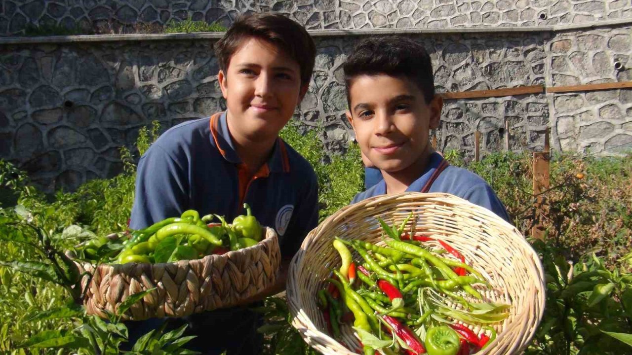 Minik eller, turşuyla büyük işlere imza atıyor