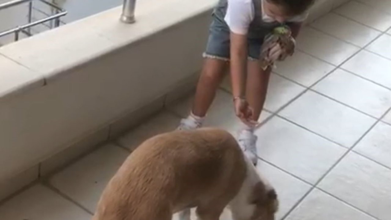 Minik Gökçe’den örnek davranış