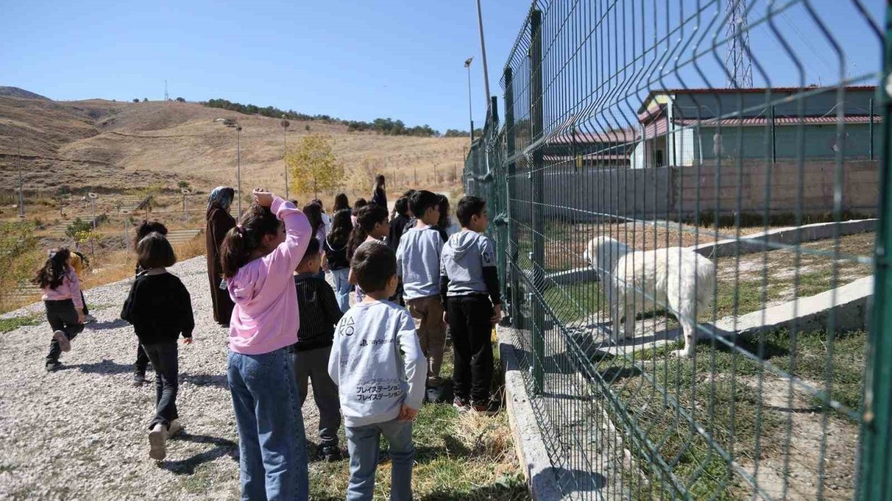 Minik öğrenciler patili dostlarını ziyaret etti