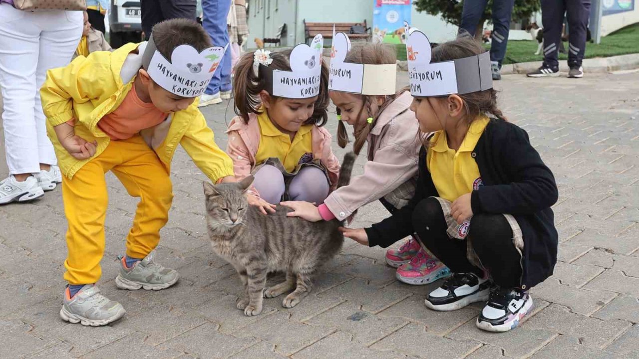 Minik öğrencilerden Hayvan Bakımevine ziyaret