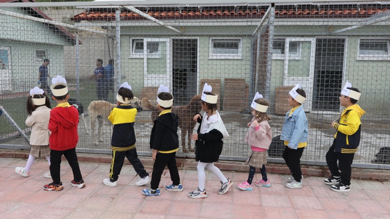 Muğlalı minik yüreklerden can dostlara ziyaret