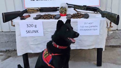 Muş’ta jandarmadan uyuşturucu ve silah operasyonu