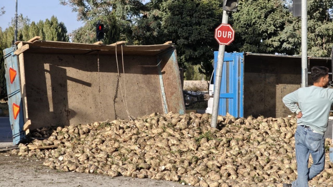 Muş’ta şeker pancarı yüklü traktör devrildi