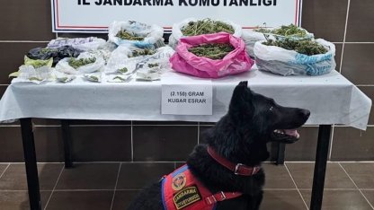 Muş’ta uyuşturucu operasyonu: 1 gözaltı