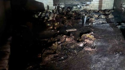 Niğde’de ahır yangını: 170 koyun telef oldu