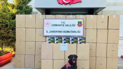 Osmaniye’de kaçak makaron operasyonunda 1 tutuklama