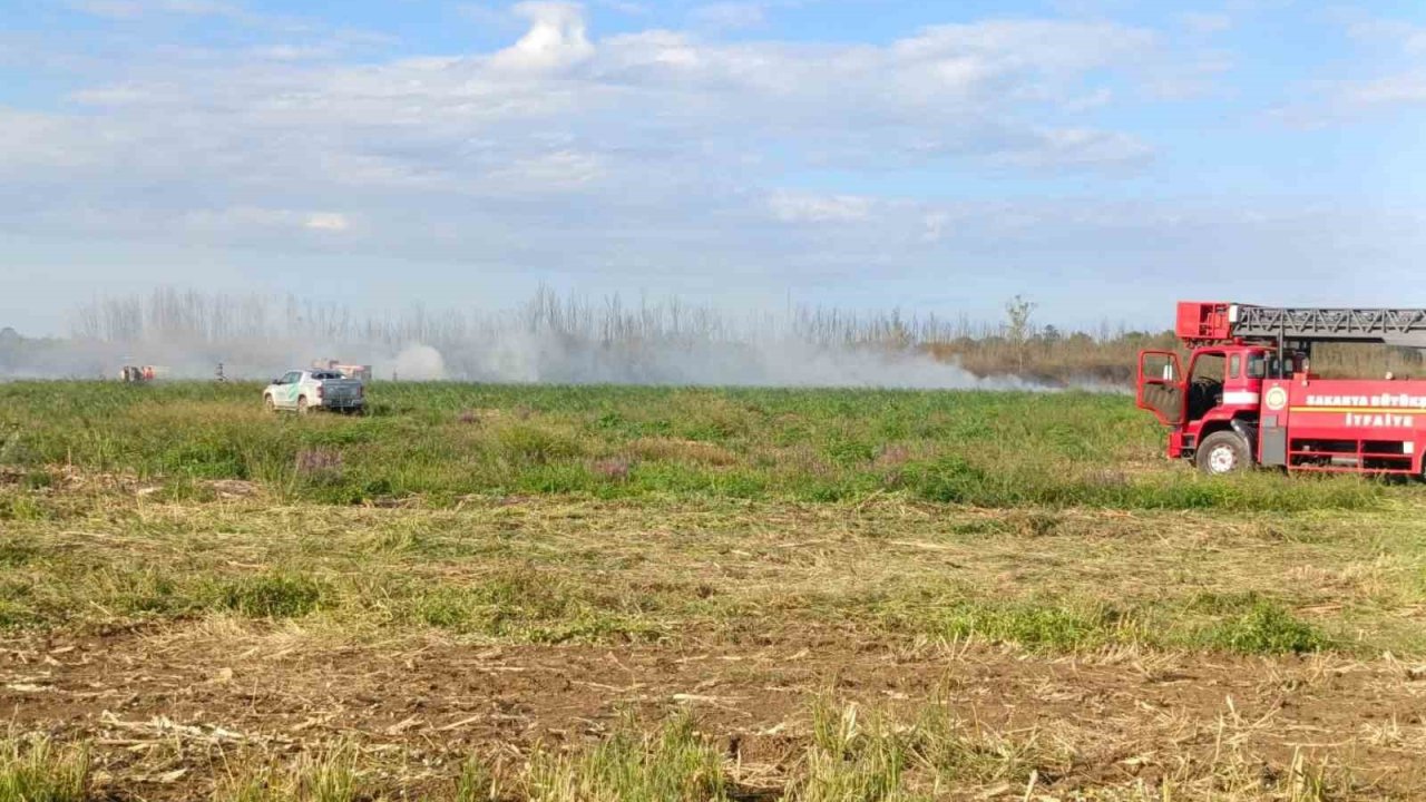 Otluk alanda çıkan yangın söndürüldü
