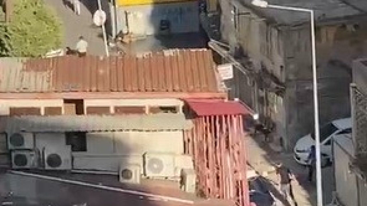 Pompalı tüfekle havaya ateş açıp kaçtı