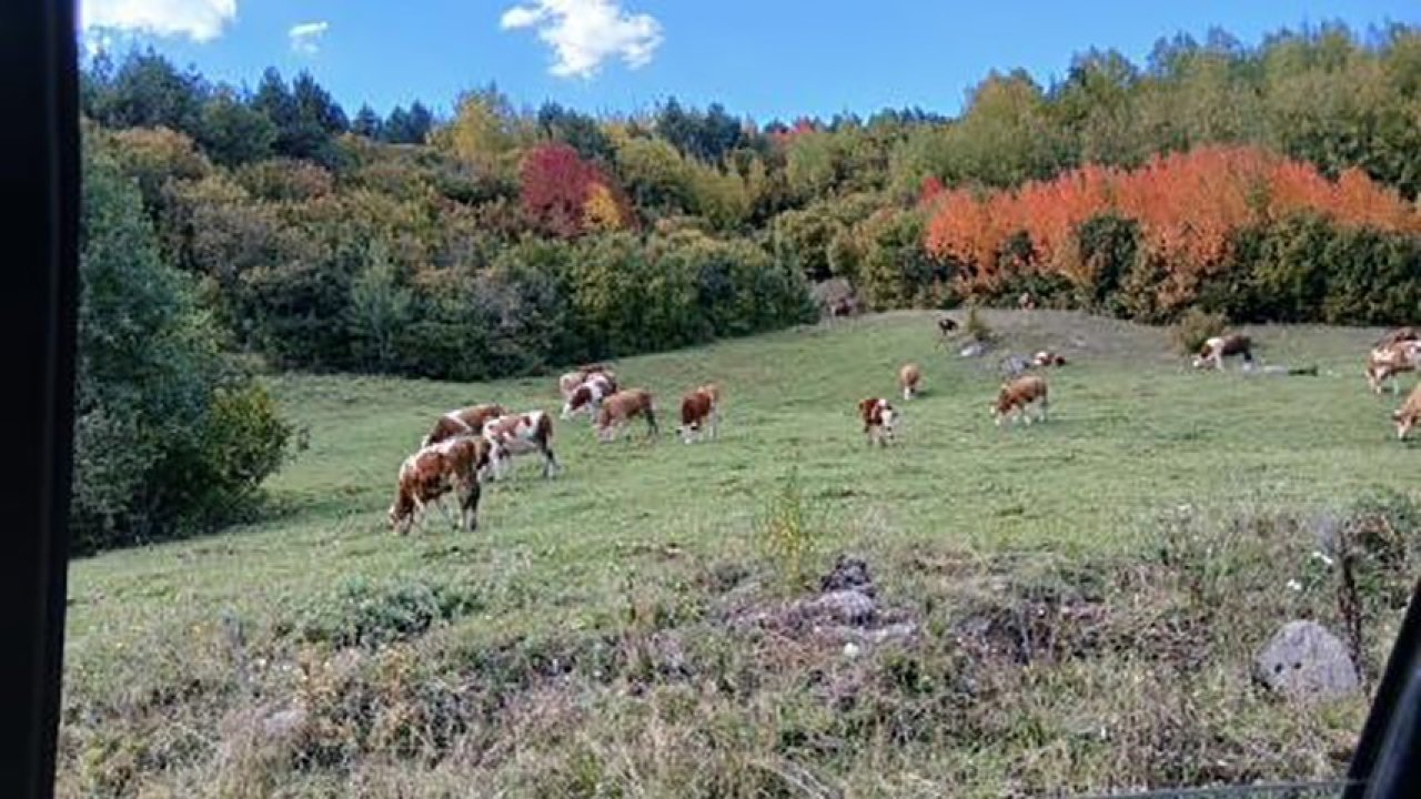 Posof’ta sonbahar güzelliği